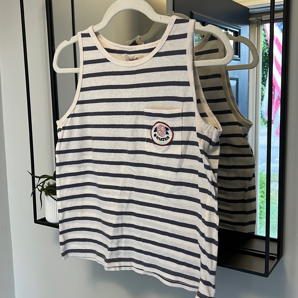 Blue and White Striped Madewell Tank Top